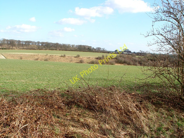 Photo 6"x4" Risby Park, East Yorkshire Bentley\/TA0135 c2008