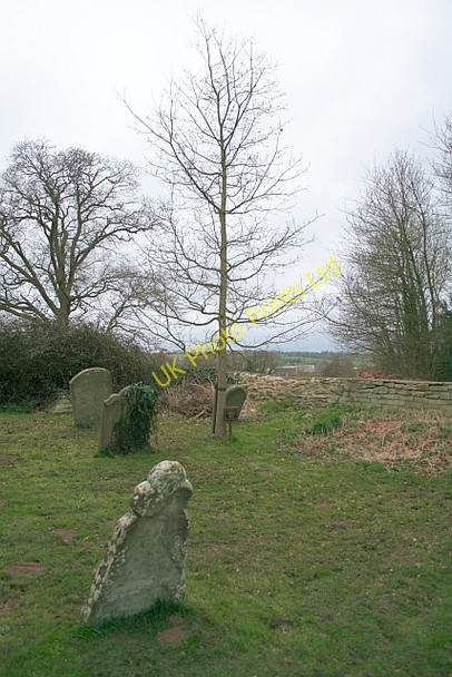 Photo 6"x4" The Much Marcle Female Friendly Society Tree Much Marcle c2008