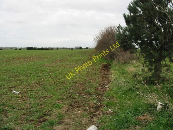 Photo 6"x4" Looking E along field boundary from Seamark Road Brooks End c2008