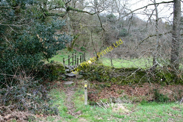 Photo 6"x4" Footbridge on Saint's Way Cannalidgey c2008