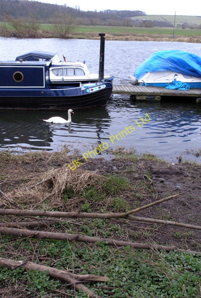 Photo 6"x4" Swan in Beeston Marina Beeston\/SK5236 c2008