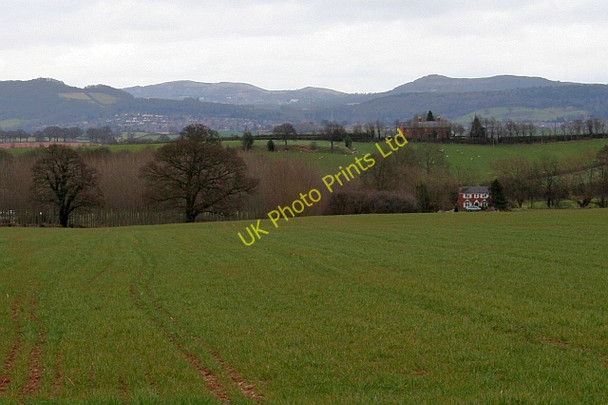 Photo 6"x4" Fields of Much Marcle Bodenham Bank c2008