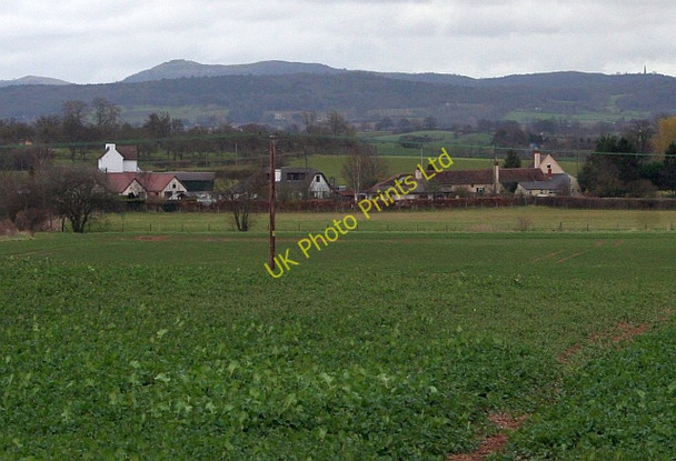 Photo 6"x4" Fields of Much Marcle Much Marcle c2008