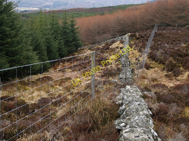 Photo 6"x4" Wall, fences and plantation, Carn Geal Kinnaird\/NN9559 c2008