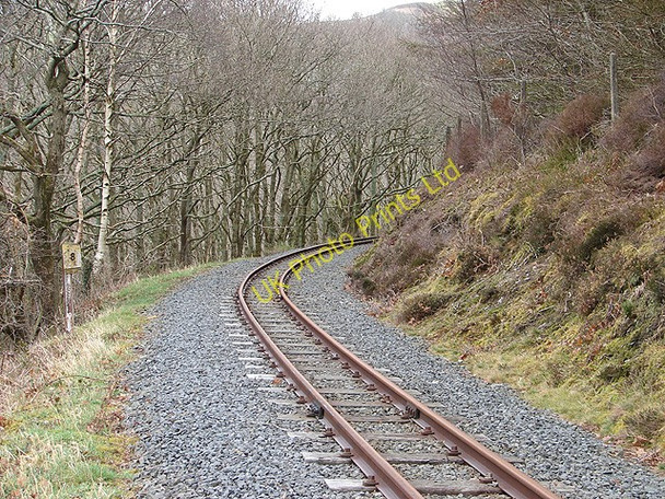 Photo 6"x4" Vale of Rheidol Railway Aberffrwd\/SN6878 c2008 P1