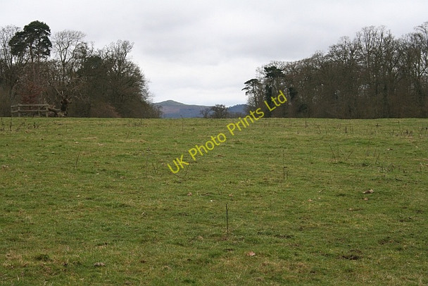 Photo 6"x4" Meadow, The Stanks Duckswich c2008