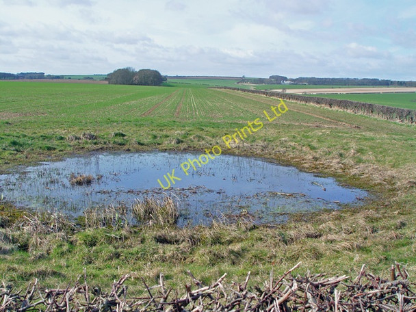Photo 6"x4" A small pond near North Dalton North Dalton c2008