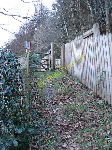 Photo 6"x4" Vale of Rheidol Railway Aberffrwd\/SN6878 c2008
