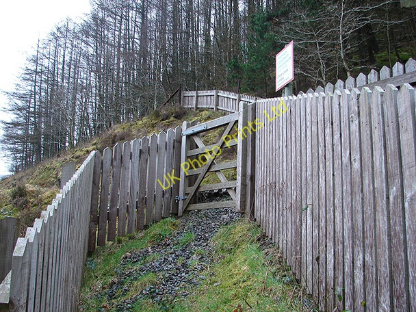 Photo 6"x4" Approach to the Vale of Rheidol Railway Mynydd Bach\/SN7176 c2008