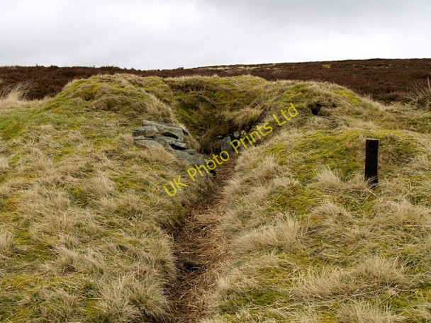 Photo 6"x4" Grouse Butt No. 3, Trously Nether Shiels\/NT4146 c2008