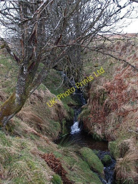 Photo 6"x4" Trees and small waterfalls, Long Hangman Burn Nether Shiels\/NT4146 c2008