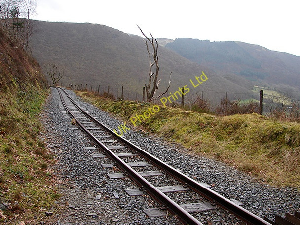 Photo 6"x4" Vale of Rheidol Railway Mynydd Bach\/SN7176 c2008
