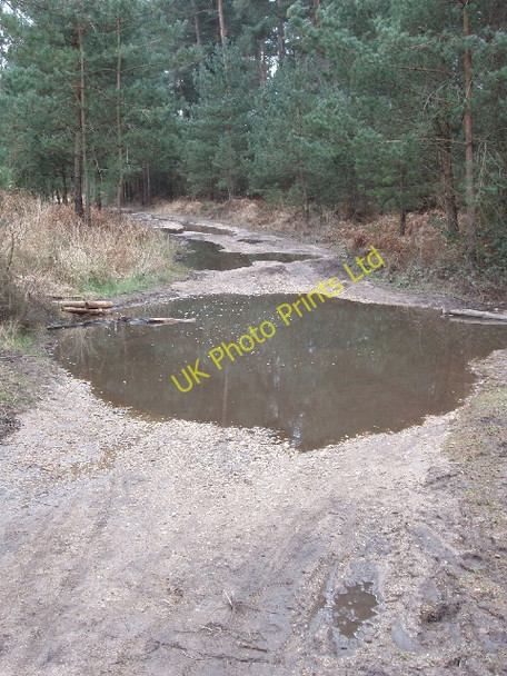 Photo 6"x4" Wet gravel track by Upper Star Post, Swinley Forest Birch Hill\/SU8766 c2008