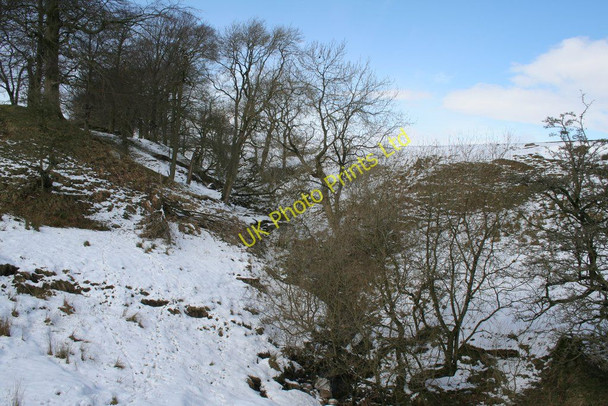 Photo 6"x4" Way Gill Fleets c2008