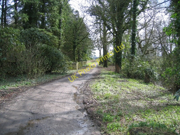 Photo 6"x4" Track past Gwysaney Hall Cefn-eurgain c2008