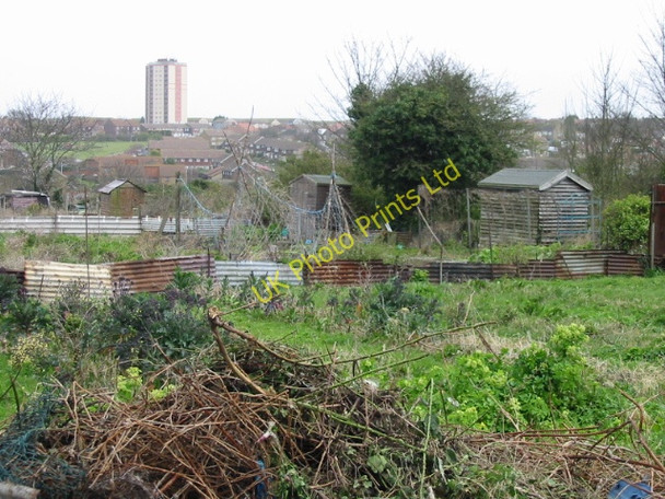 Photo 6"x4" Allotments on St Peter's Footpath Margate c2008
