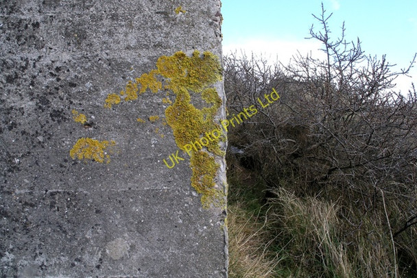 Photo 6"x4" Lichen on the pillbox Theddlethorpe St Helen c2008