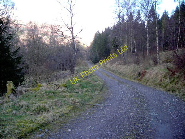 Photo 6"x4" Track Near Invertrossachs Brig o' Turk c2008
