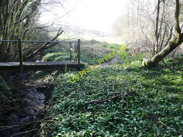 Photo 6"x4" Leaving Park Wood Clearwell c2008