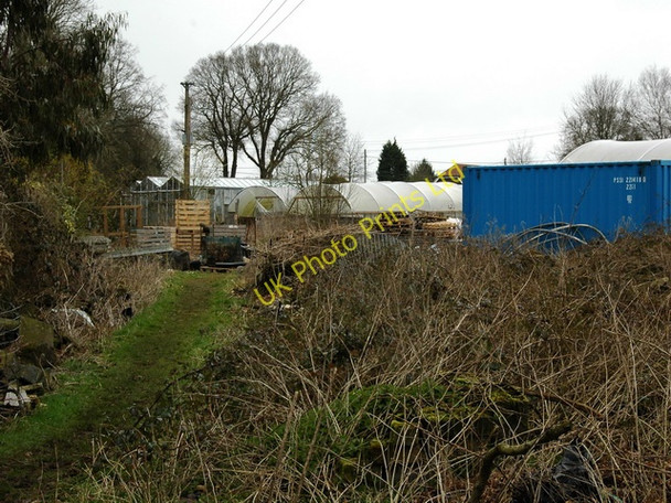 Photo 6"x4" Rear of Garthowen Garden Centre Four Marks c2008