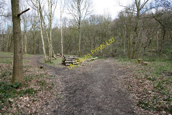 Photo 6"x4" Tracks in Stony Cliffe Wood Midgley\/SE2714 c2008