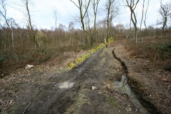 Photo 6"x4" Track in Stony Cliffe Wood Midgley\/SE2714 c2008