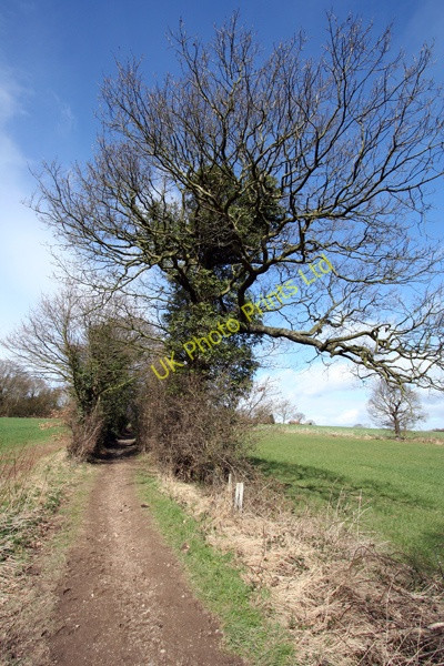 Photo 6"x4" Track towards Middlestown Overton\/SE2616 c2008