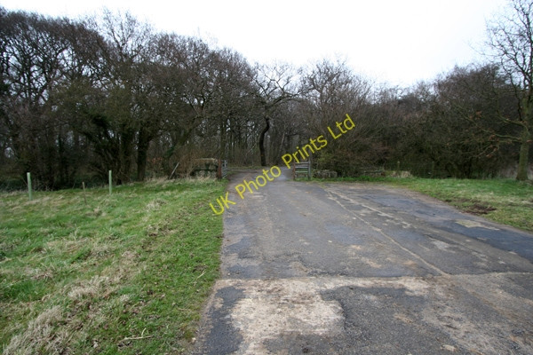 Photo 6"x4" Entrance to Stub Wood Acaster Malbis c2008