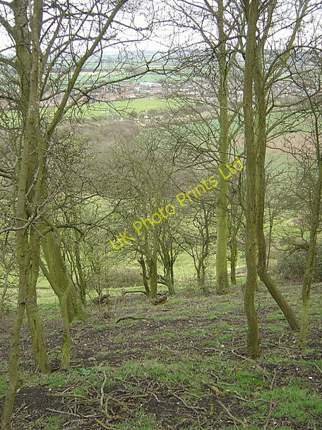 Photo 6"x4" The scarp of Gotham hill Gotham\/SK5330 c2008