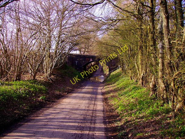 Photo 6"x4" Amport - Railway Bridge Amport c2008
