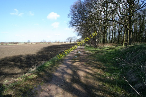 Photo 6"x4" Track alongside woodland Burton Salmon c2008