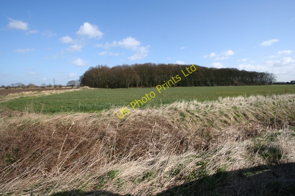 Photo 6"x4" Bywater Wood Burton Salmon c2008