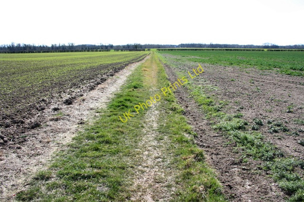 Photo 6"x4" Field Track behind Shelford Rugby Ground Great Shelford c2008