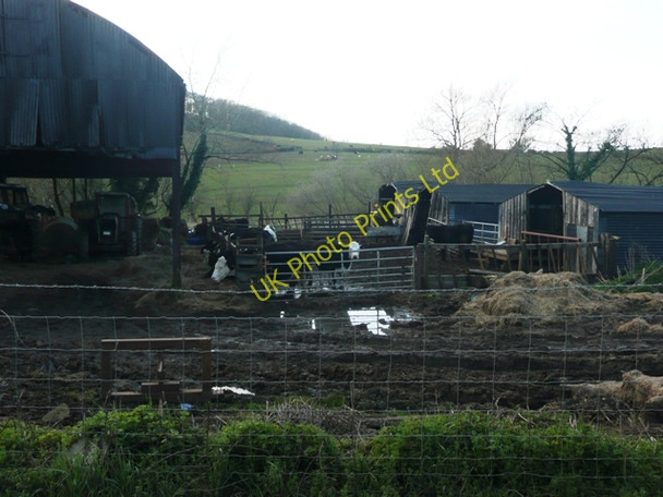 Photo 6"x4" Spout Farm Newland\/SO5509 c2008