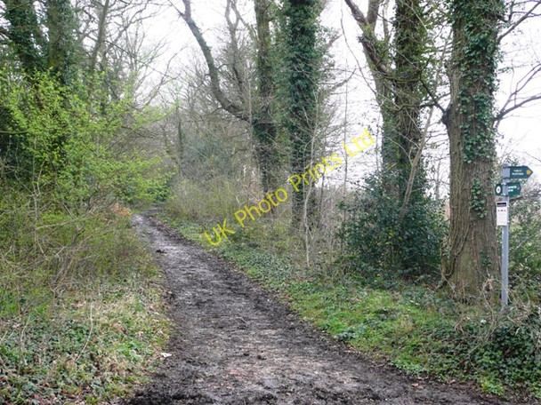 Photo 6"x4" Restricted byway to Upper Basildon New Town\/SU6075 c2008