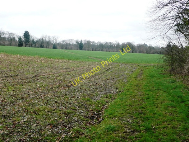 Photo 6"x4" Footpath to Upper Basildon New Town\/SU6075 c2008