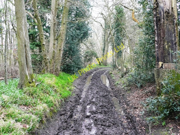 Photo 6"x4" Pinfold Lane Ashampstead c2008