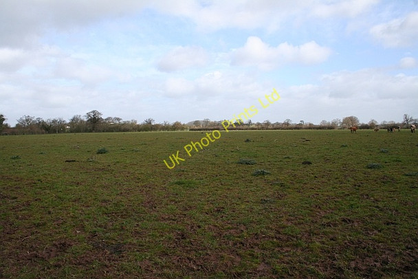 Photo 6"x4" Fields near Werth Farm Chaceley c2008