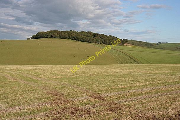 Photo 6"x4" Harper Hill Inverkeithny c2007