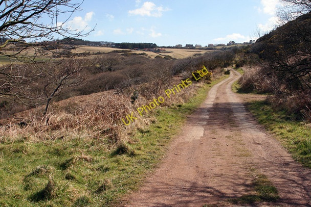 Photo 6"x4" The Cleveland Way Ravenscar c2008