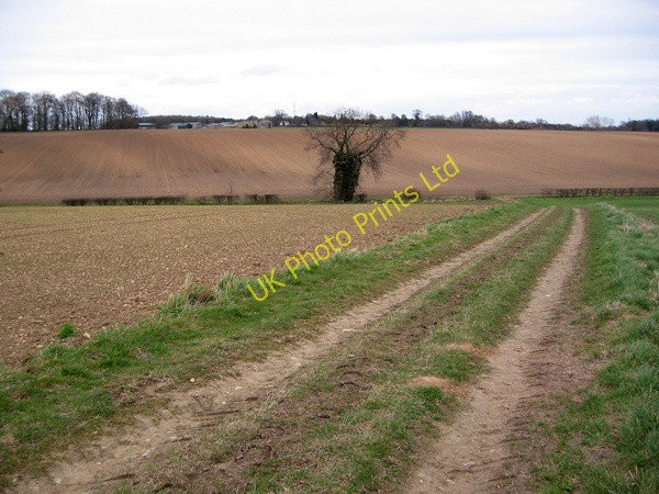 Photo 6"x4" Farm track Potterton\/SE4038 c2008