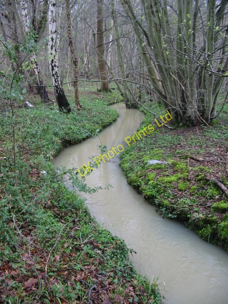 Photo 6"x4" Small stream in Thornden Woods Radfall c2008