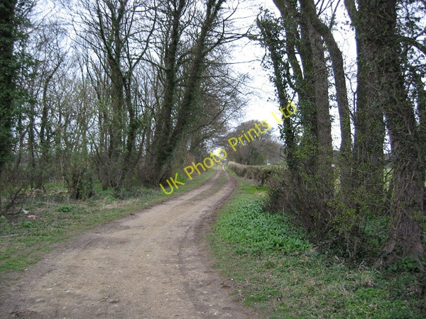 Photo 6"x4" Track towards Potterton Potterton\/SE4038 c2008