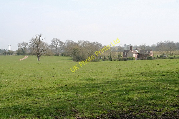 Photo 6"x4" Woodland Cottage Duckswich c2008