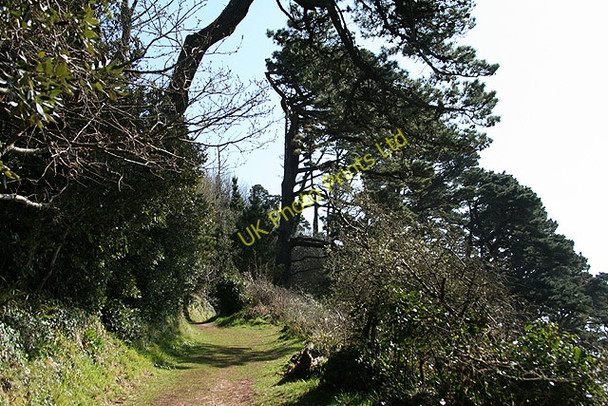 Photo 6"x4" Kingswear: near Warren House 2 Dartmouth c2008