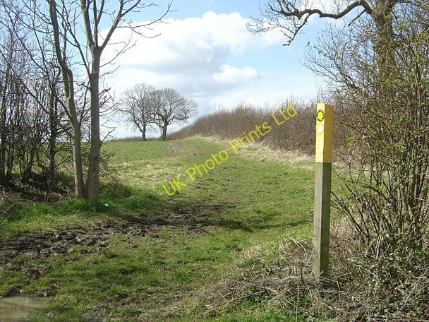 Photo 6"x4" Bridleway on Hoton Hill Hoton c2008