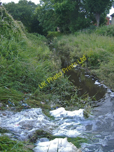 Photo 6"x4" Setting Dike Cottingham\/TA0432 c2007