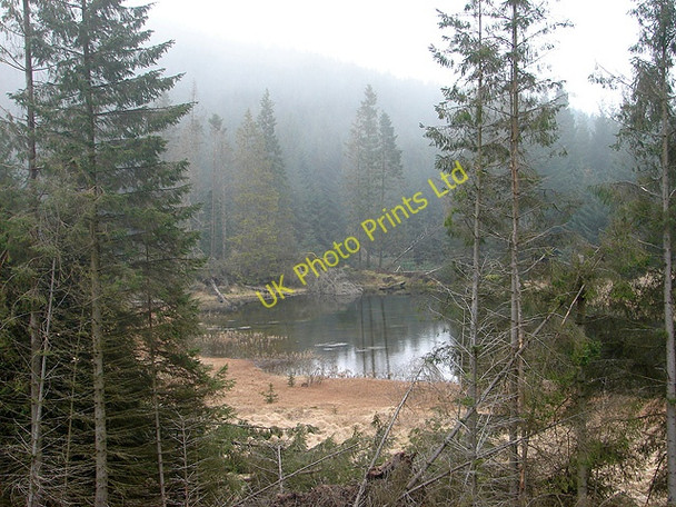 Photo 6"x4" Llyn in forestry land at Peraidd Fynydd Pont Rhydgaled c2008
