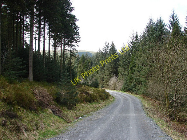 Photo 6"x4" Forestry track at Rhos Pant-mawr Pont Rhydgaled c2008