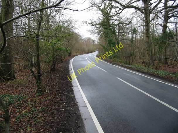 Photo 6"x4" Looking NE along Thornden Wood Road Tyler Hill c2008